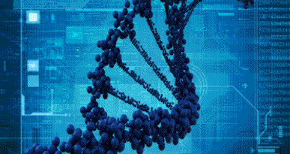 Human Genome1