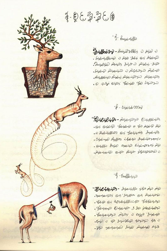 Codex Seraphinianus 5